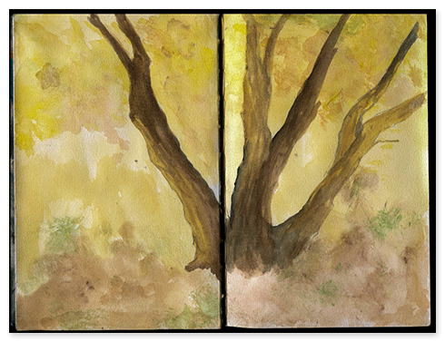 Watercolor of Cottonwood tree.
