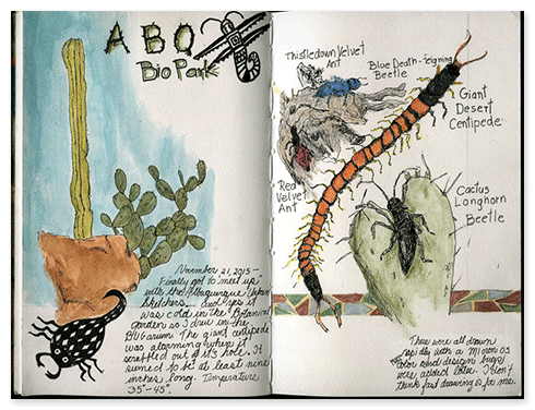 I joined the Albuquerque Urban Sketchers a few times for some fun Sketching Meetups.