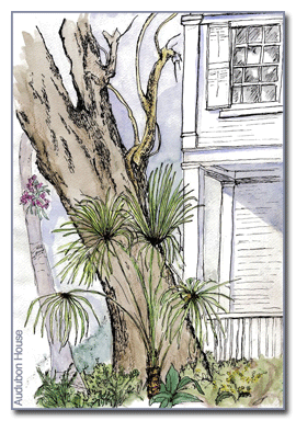 Audubon House: Pen and Ink with watercolor wash