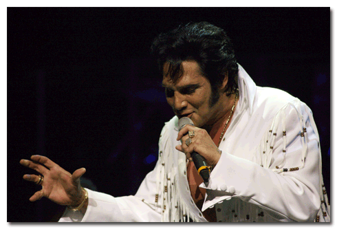 The Elvis Experience, Branson, MO
