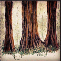 Watercolor pencil sketch at Big Tree Wayside