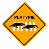 Places and Playtypie
