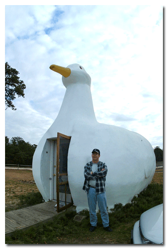 Long Islad Big Duck