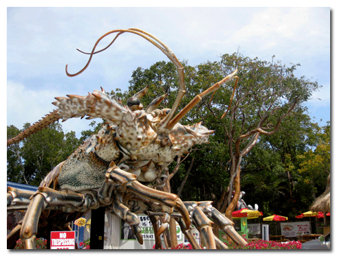 Florida Keys: Betsey, a thirty foot tall spiny lobster