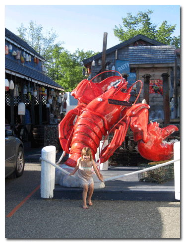 Maine Giant Lobster