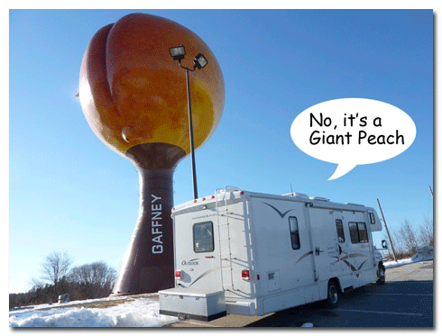 Gaffney, South Carolina Giant Peach