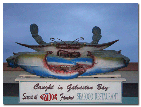 Galveston, Texas Rooftop Crab