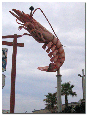 Galveston, Texas Giant Shrimp