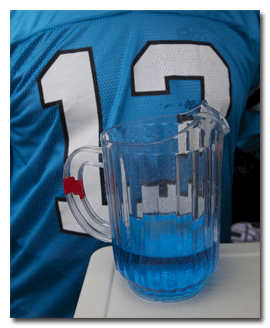 Panther Punch as Served by the PantherFanz