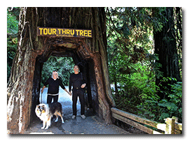 Redwood Tourist Items and Sights