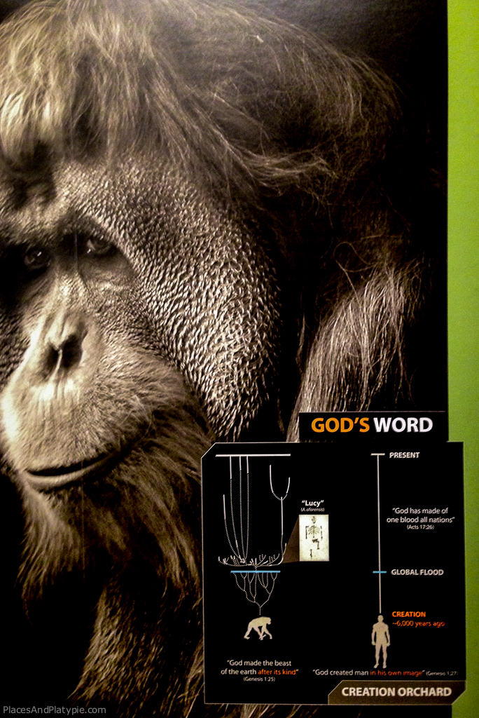 Man vs Ape - Creation explained.