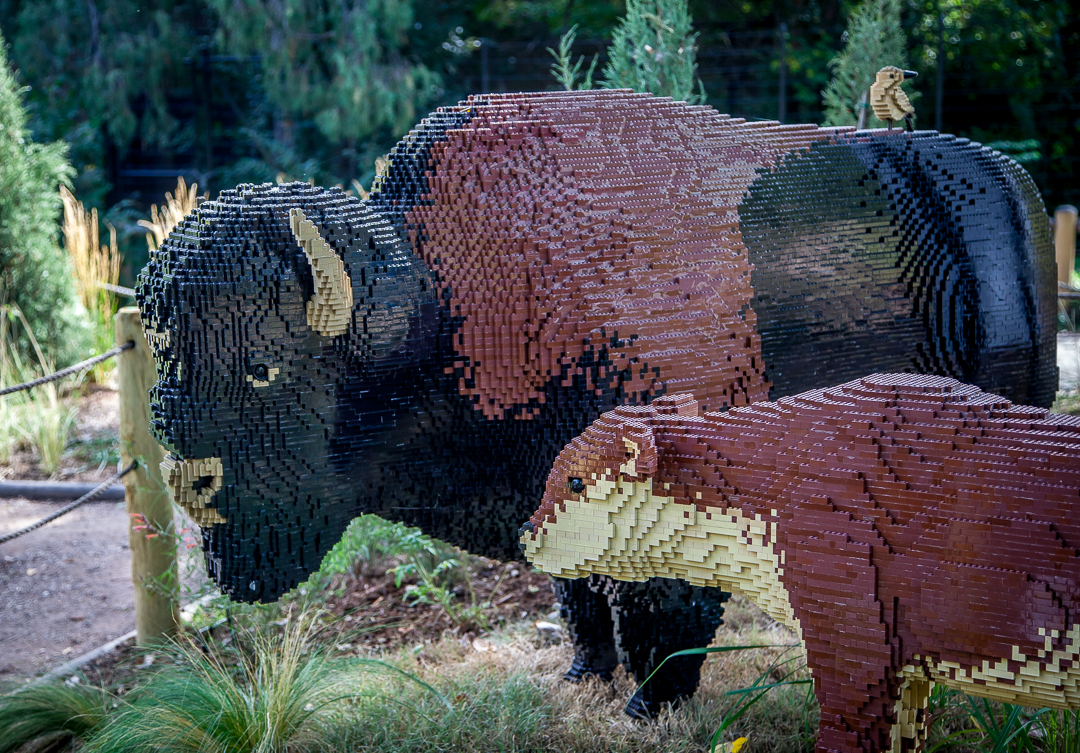 Bison (mother and calf): 45,143 lego bricks