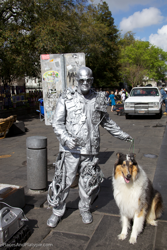 Mechanical Dog Walker at Jackson Square