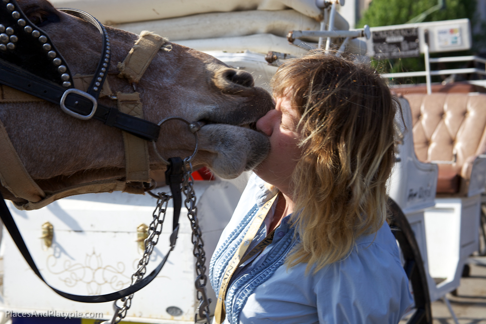 Mules - and the girls who love them.