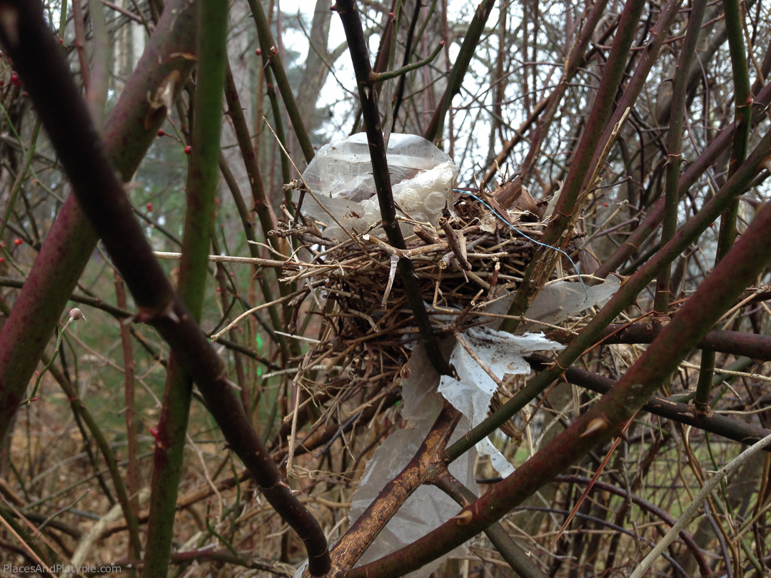 I suppose if were a bird, this is what my nest would like like.