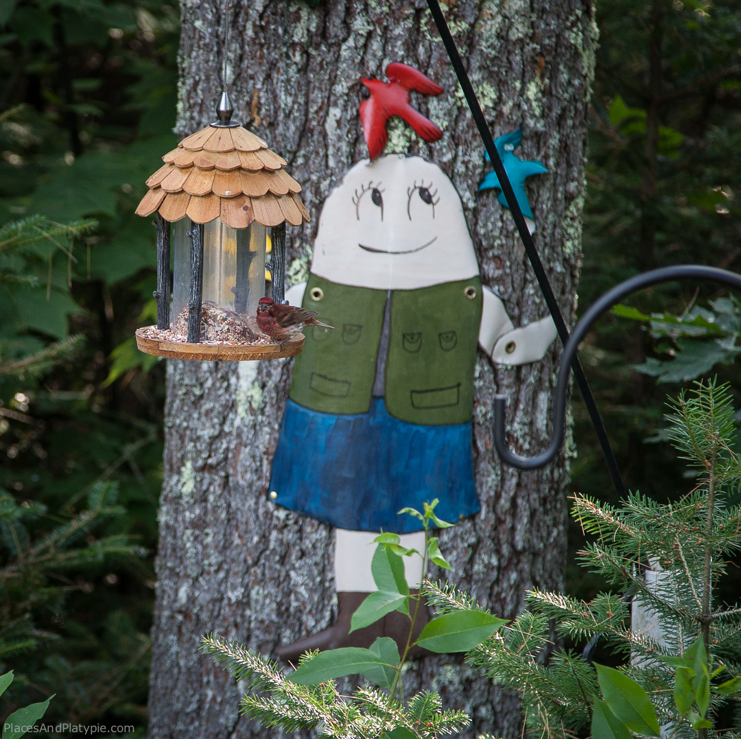 St. Francine lures the birds to our feeder in Maine.