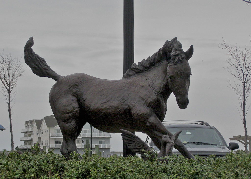 Misty of Chincoteague by Brian Maughan, Chincoteague, Virginia