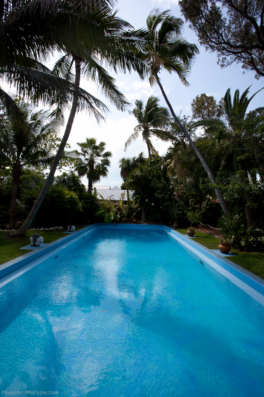 Hemingway's Pool.