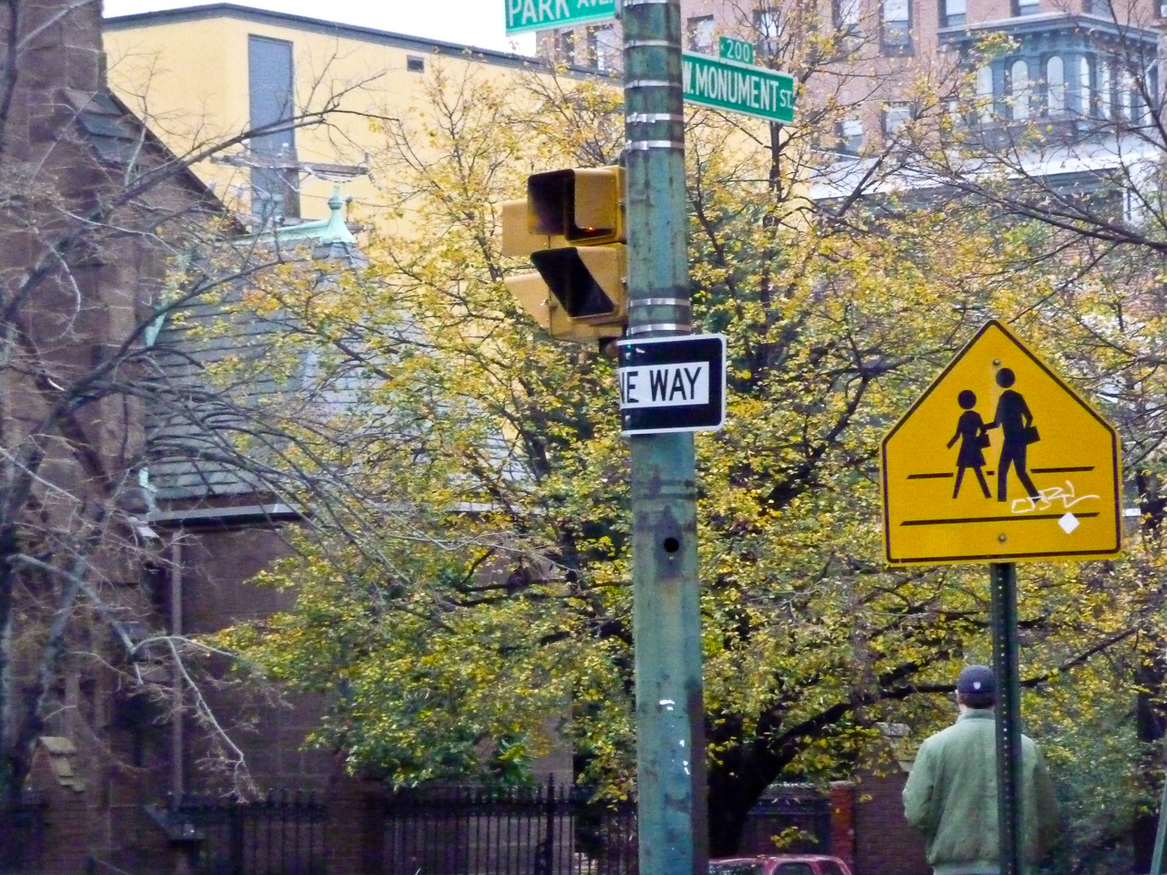 Trees and School Crossing signs