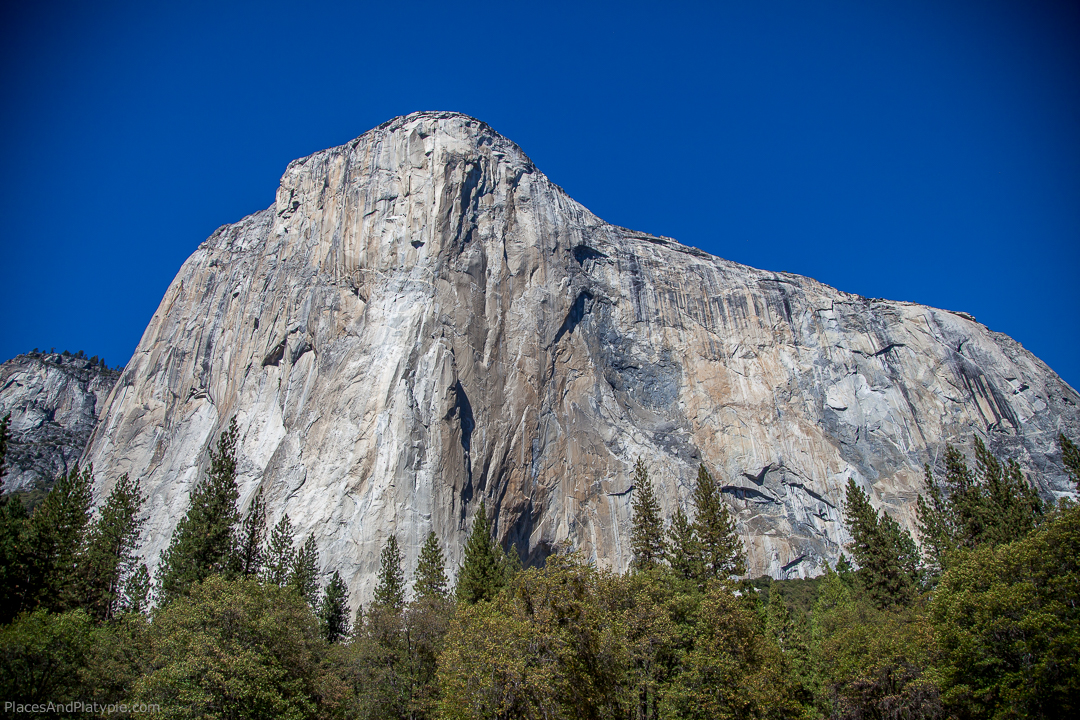 El Capitan rises 3,000 feet from the valley floor and is a popular challange for climbers and base jumpers. Climbers are visible left-center.