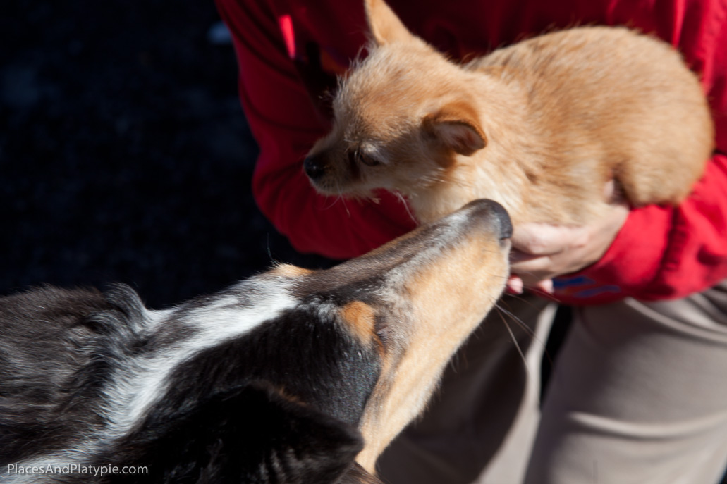 Other kinds of whispering...