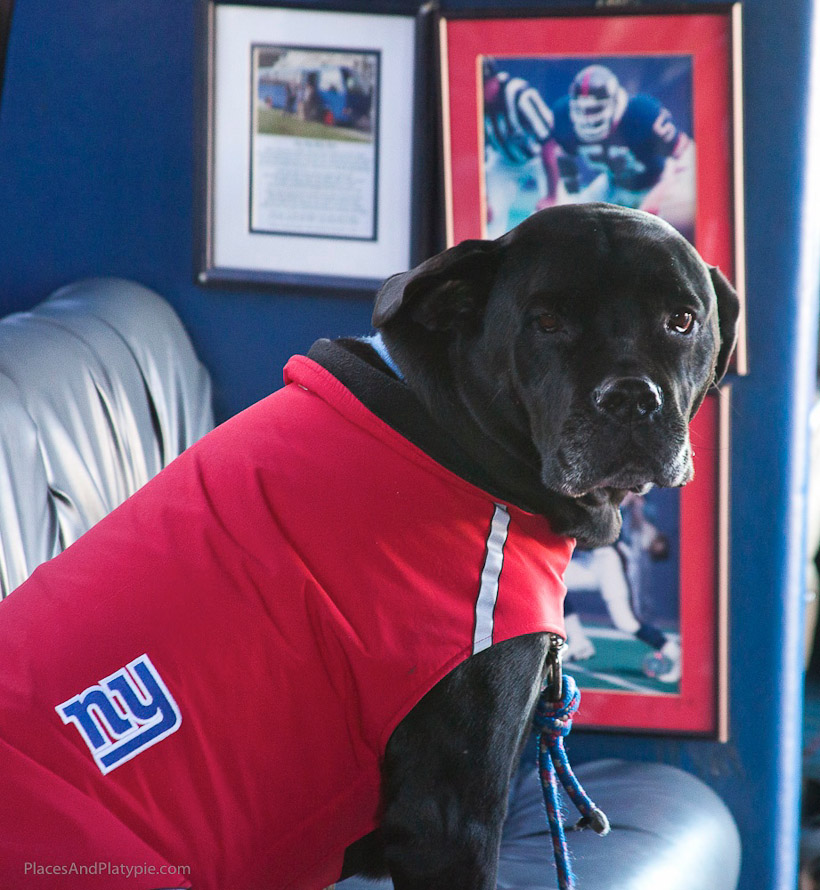 Wait - you ARE a Giants fan - RIGHT???