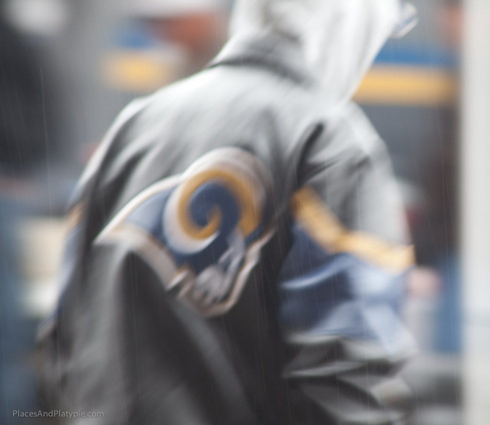 Proud Ram in the rain