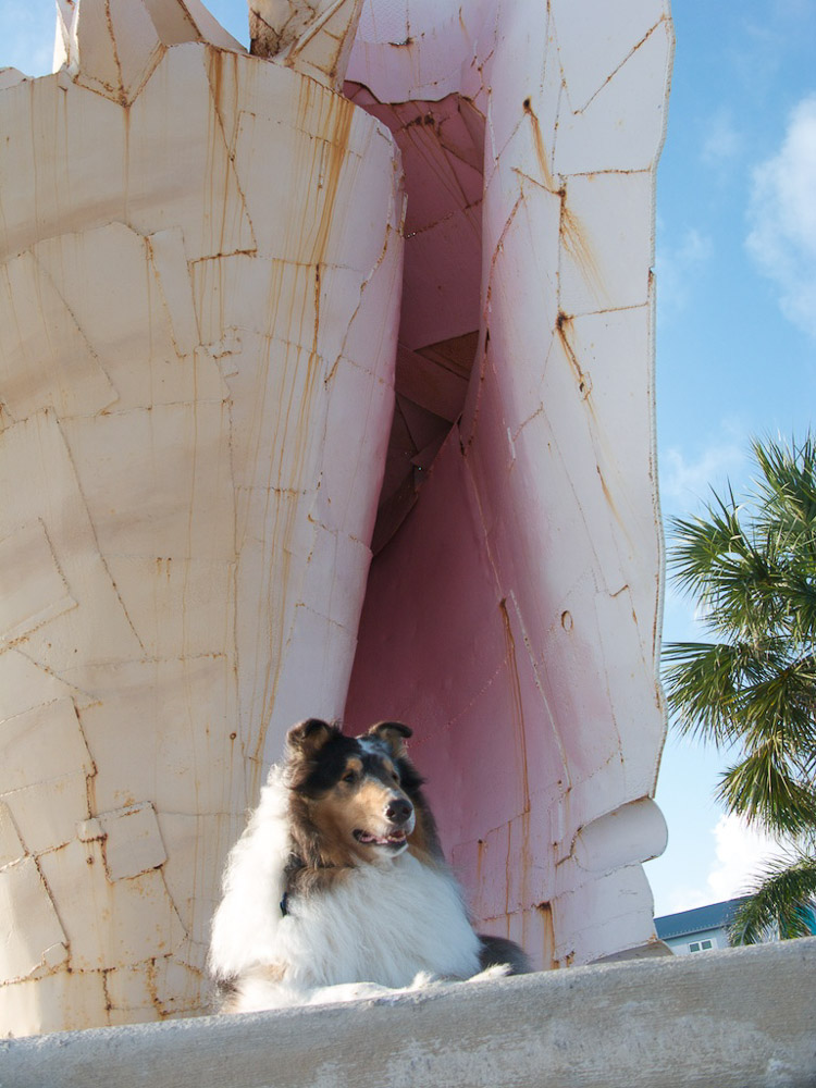 It is not a giant v-jay-jay! It is a giant conch shell.