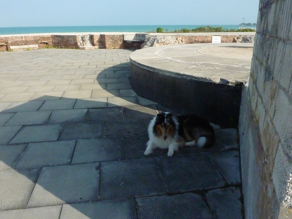 It's hot up here on Fort Zach, so I just stay in the shade.