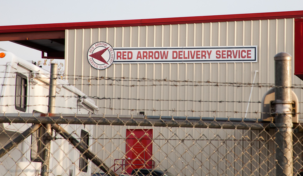 Everything is safe and sound inside the fence.